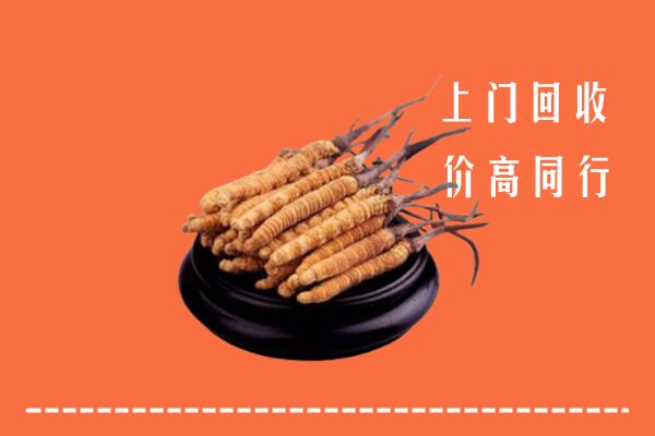 高价求购：孝感回收散虫草
