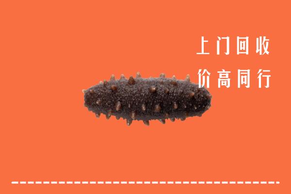 孝感回收海参
