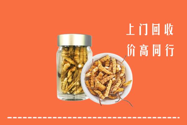 孝感回收冬虫夏草